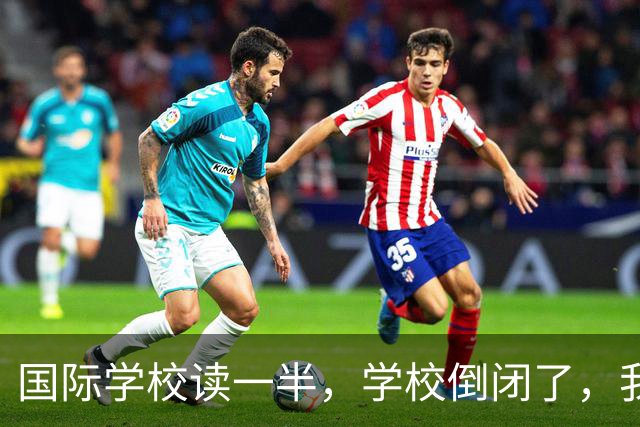 国际学校读一半，学校倒闭了，我该咋办？